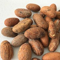 Bitter Kola Nuts